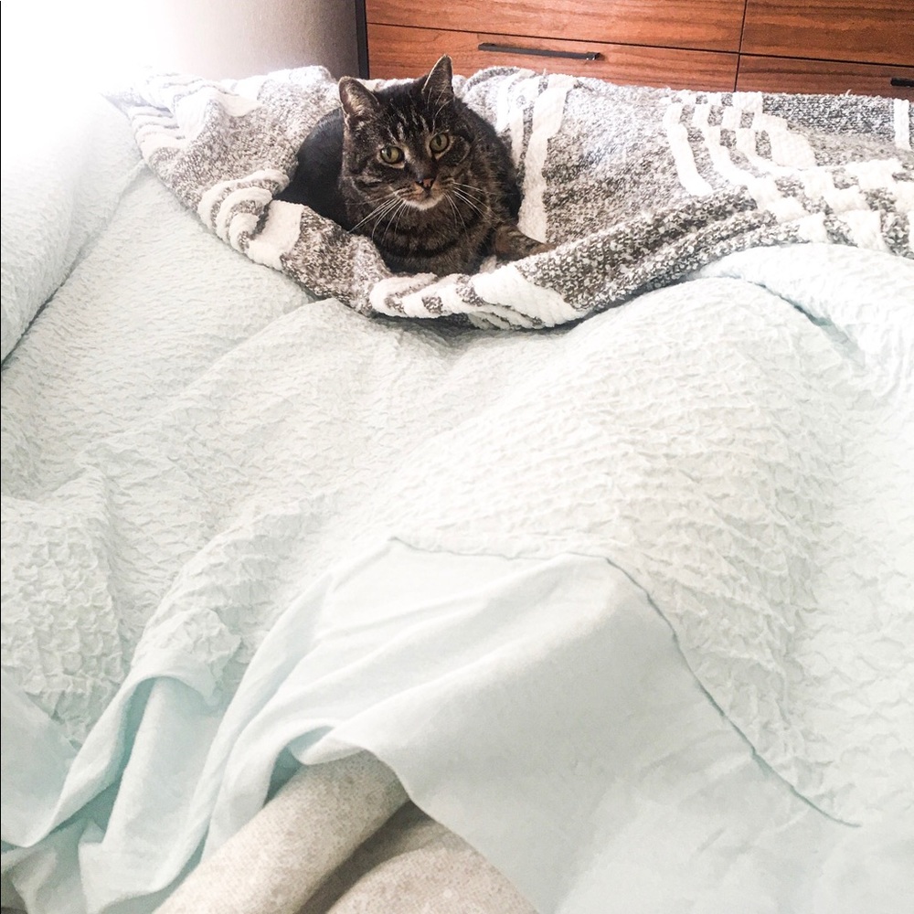 Meet your Posher, Brendan